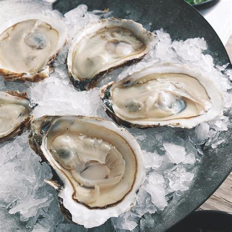 Half shell oyster - May 16, 2017 · Directions. Stir together shallot, peppercorns, and vinegar in a small bowl. Arrange oysters over ice. Serve with mignonette and lemon wedges. The word mignonette refers to the coarsely crushed peppercorns in this simple shallot-and-vinegar sauce. It can be made up to 12 hours ahead and stored in the refrigerator. 